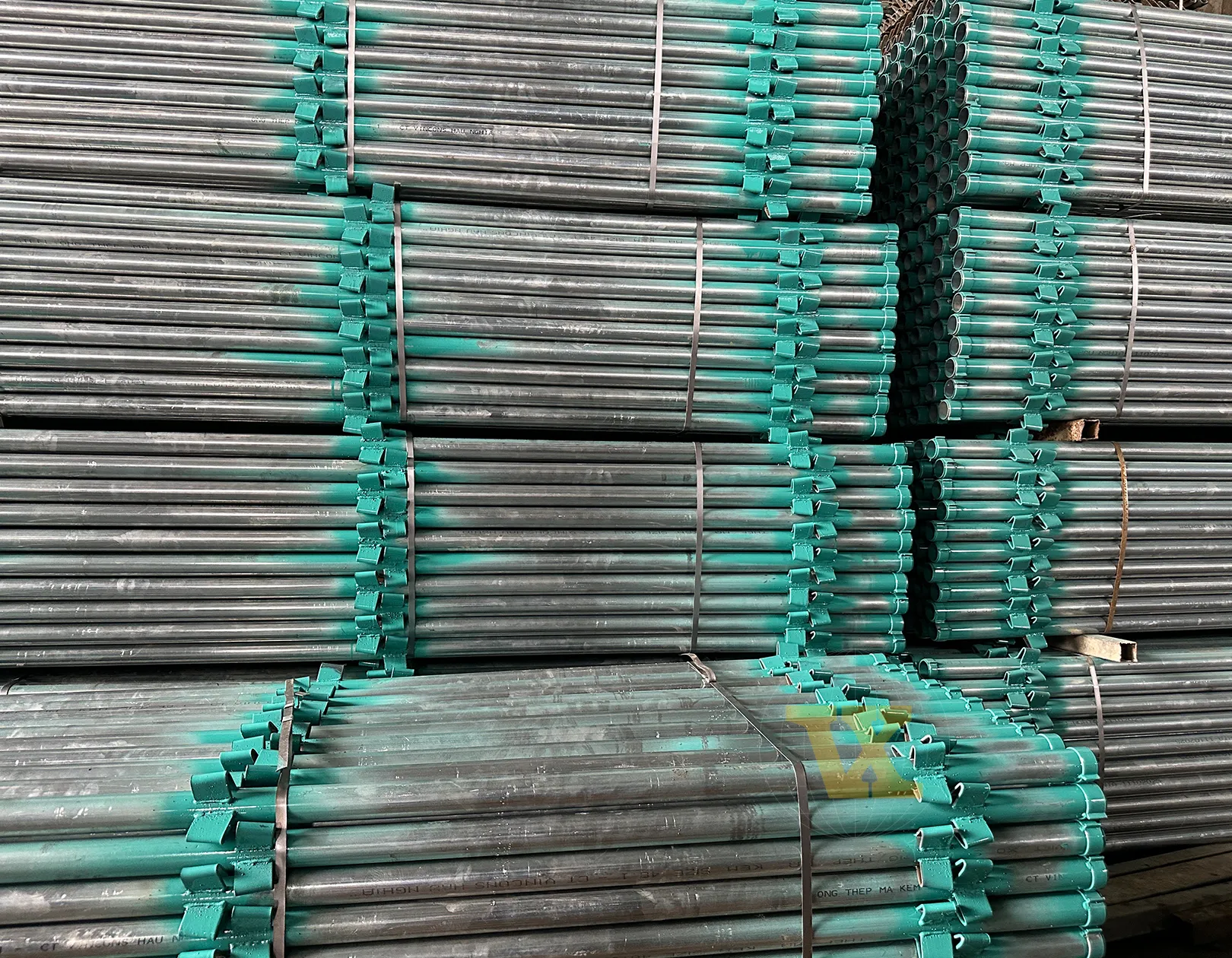 CÂY CHỐNG NÊM (GIÁO NÊM)