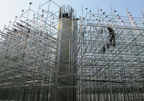 CÂY CHỐNG NÊM (GIÁO NÊM)